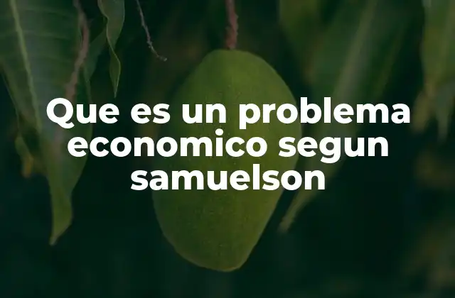 Que es un Problema Economico Segun Samuelson