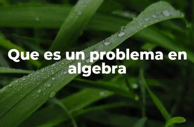 Que es un Problema en Algebra