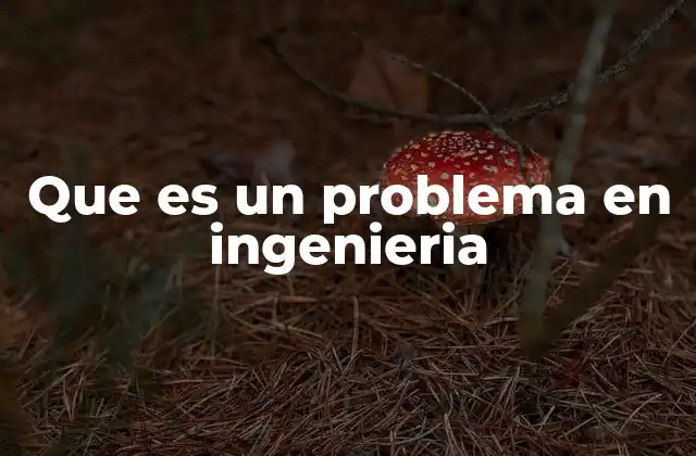 Que es un Problema en Ingenieria