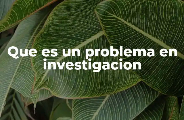 Que es un Problema en Investigacion