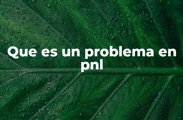 Que es un Problema en Pnl
