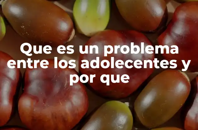Que es un Problema entre los Adolecentes y por que