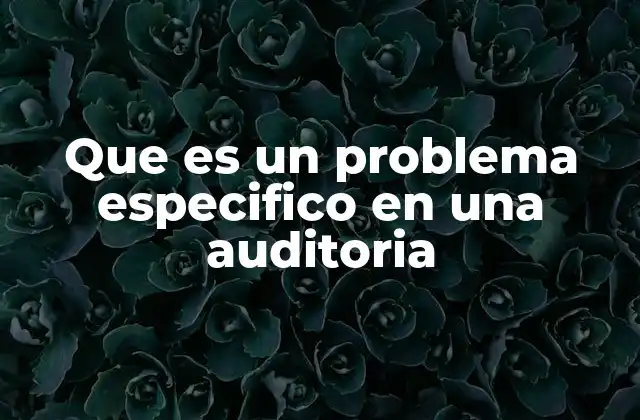Que es un Problema Especifico en una Auditoria