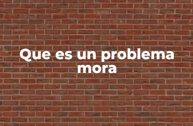 Que es un Problema Mora
