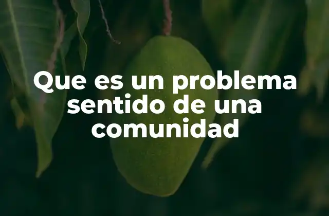 La percepción colectiva detrás de los problemas sentidos
