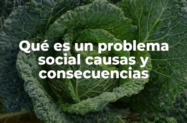 Qué es un Problema Social Causas y Consecuencias