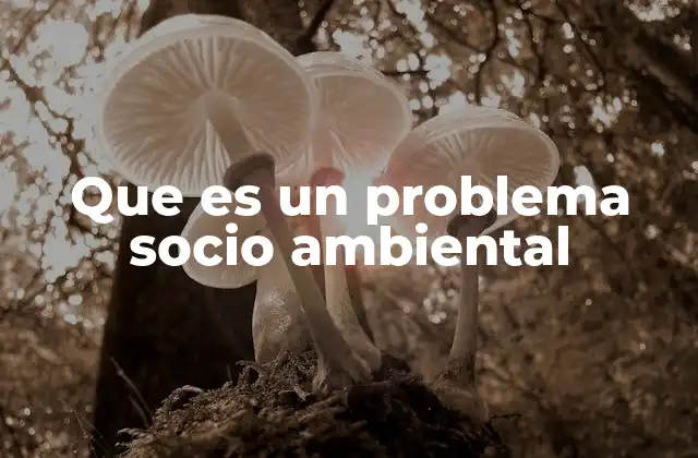 Que es un Problema Socio Ambiental