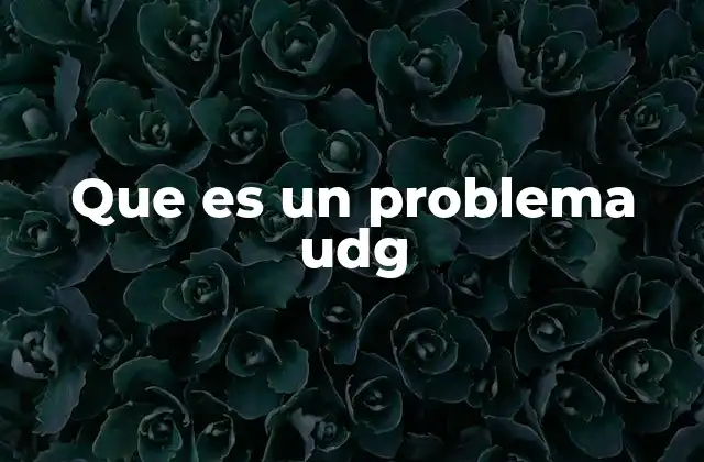 Que es un Problema Udg
