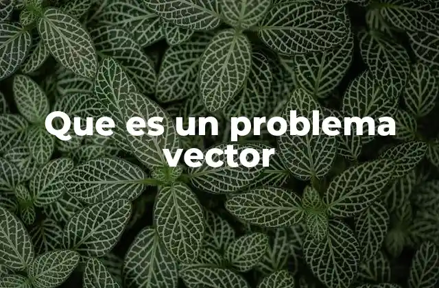 Que es un Problema Vector