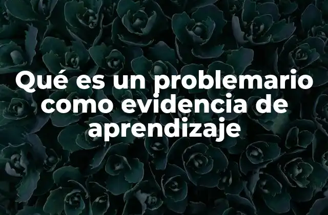 Qué es un Problemario como Evidencia de Aprendizaje