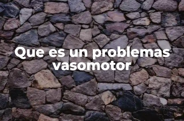 Que es un Problemas Vasomotor