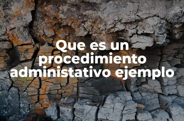 Que es un Procedimiento Administativo Ejemplo