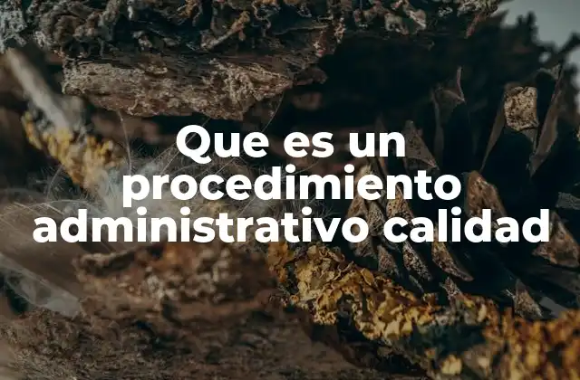 Que es un Procedimiento Administrativo Calidad