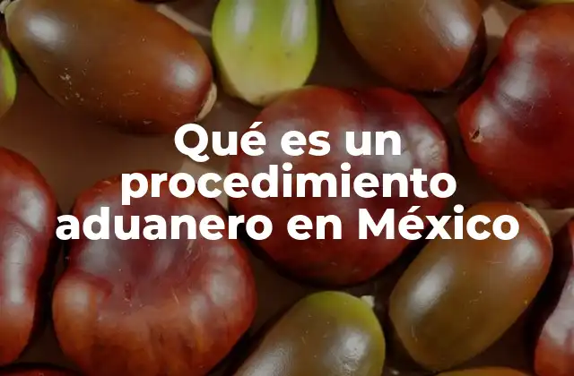 Qué es un Procedimiento Aduanero en México
