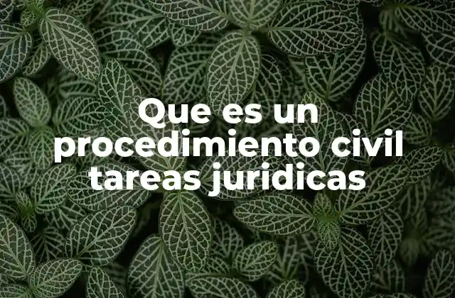 Que es un Procedimiento Civil Tareas Juridicas