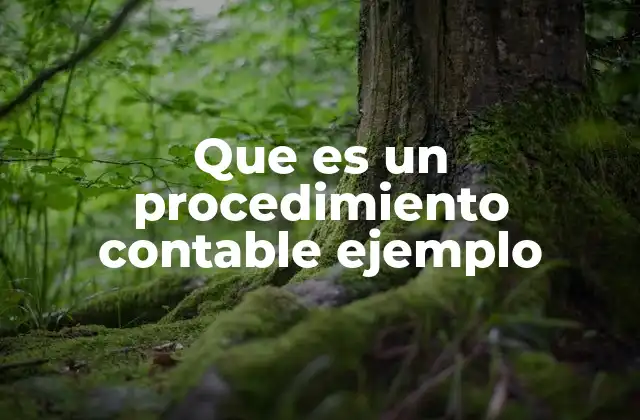 La importancia de los ejemplos en los procesos contables