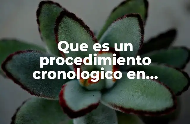 Que es un Procedimiento Cronologico en Administracion de Porcesos