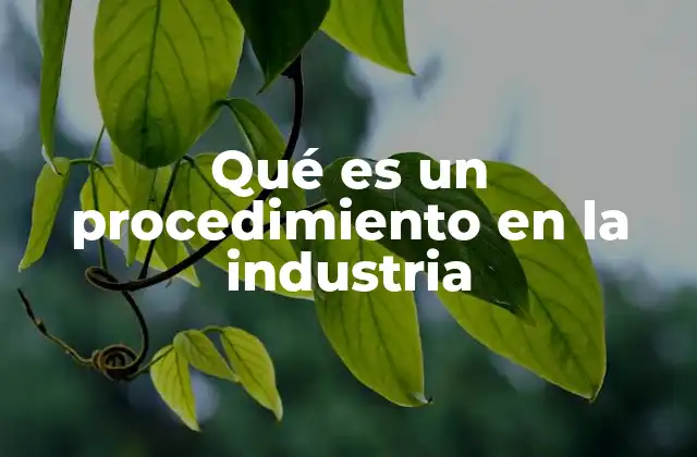 Qué es un Procedimiento en la Industria