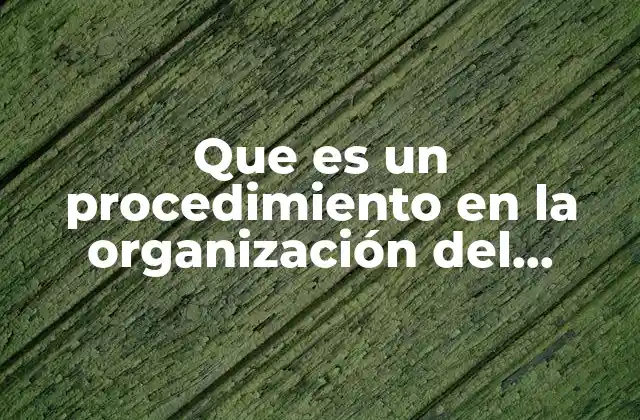 Que es un Procedimiento en la Organización Del Trabajo
