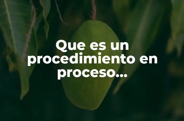 Que es un Procedimiento en Proceso Admonistrativo