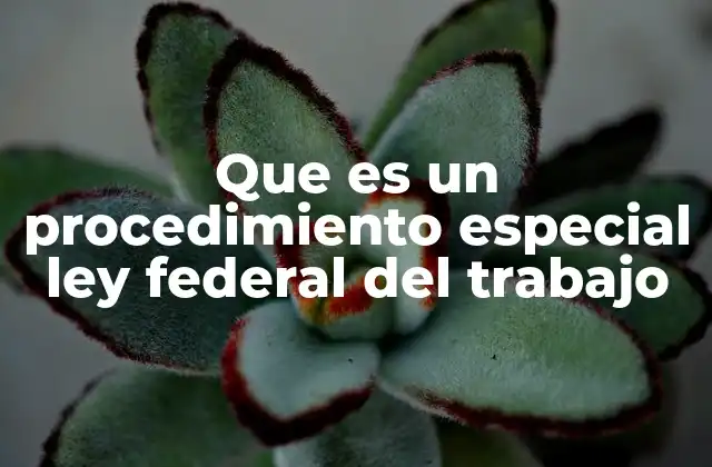 Que es un Procedimiento Especial Ley Federal Del Trabajo