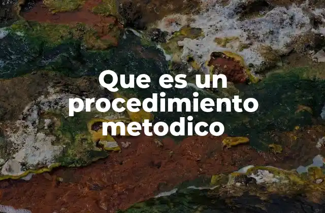 Que es un Procedimiento Metodico