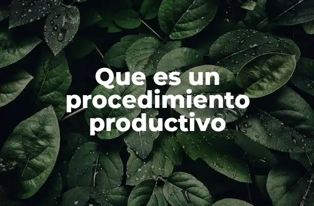 Que es un Procedimiento Productivo