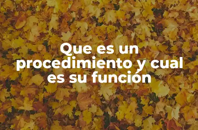 Que es un Procedimiento y Cual es Su Función