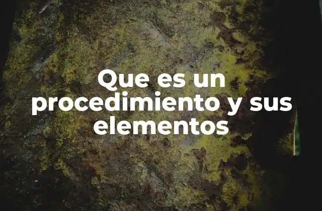 Que es un Procedimiento y Sus Elementos
