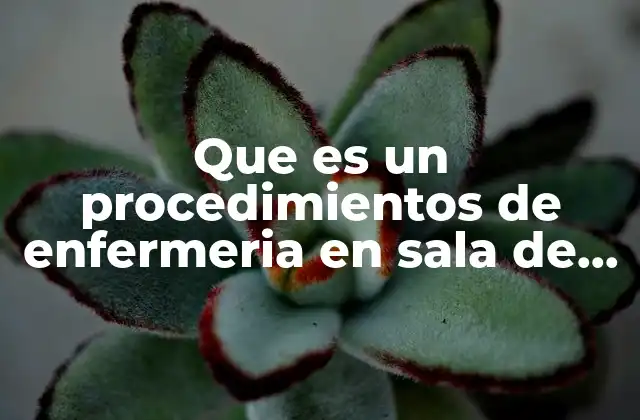 Que es un Procedimientos de Enfermeria en Sala de Quirofano
