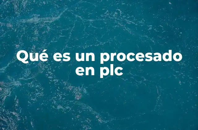 Qué es un Procesado en Plc
