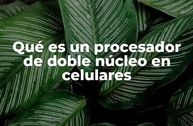 Qué es un Procesador de Doble Núcleo en Celulares