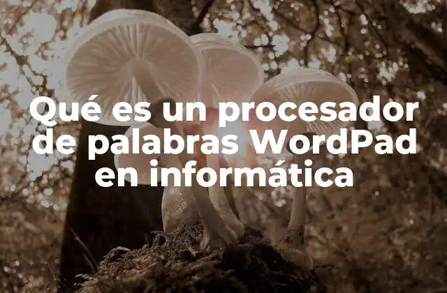 Qué es un Procesador de Palabras Wordpad en Informática 2 Características principales de WordPad