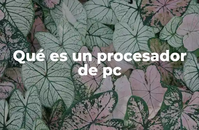 Qué es un Procesador de Pc