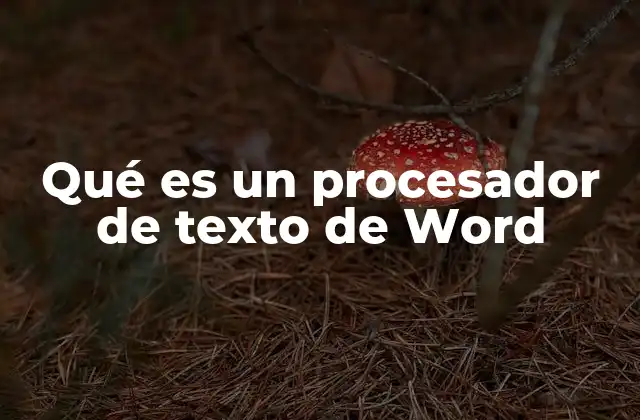 Herramientas esenciales para la creación de documentos profesionales