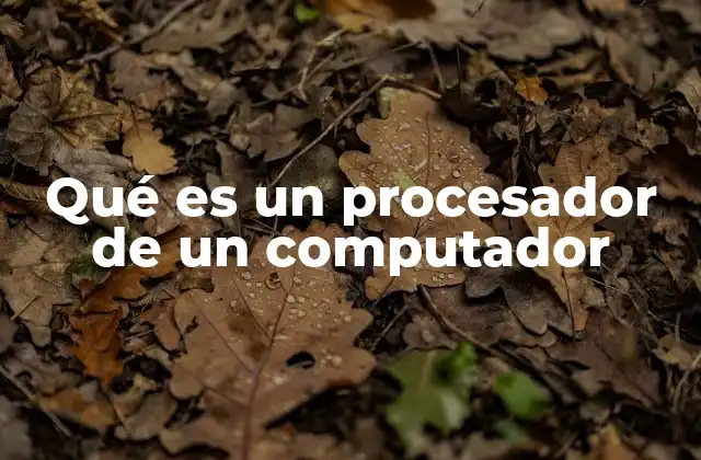 Qué es un Procesador de un Computador