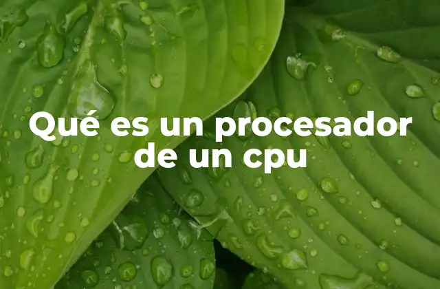 Qué es un Procesador de un Cpu