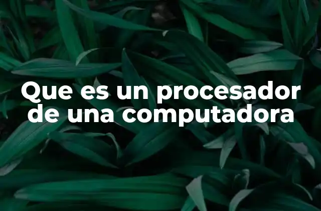 Que es un Procesador de una Computadora