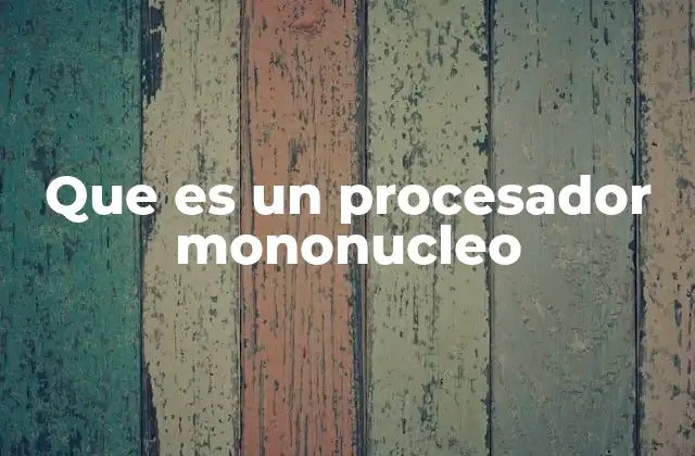 Que es un Procesador Mononucleo