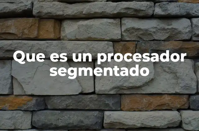 Que es un Procesador Segmentado