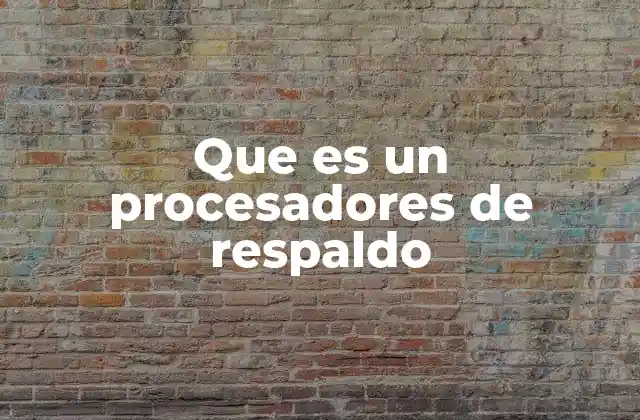Que es un Procesadores de Respaldo