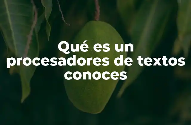 Qué es un Procesadores de Textos Conoces