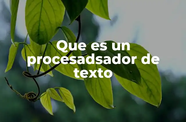 Que es un Procesadsador de Texto