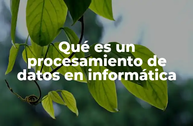 Qué es un Procesamiento de Datos en Informática