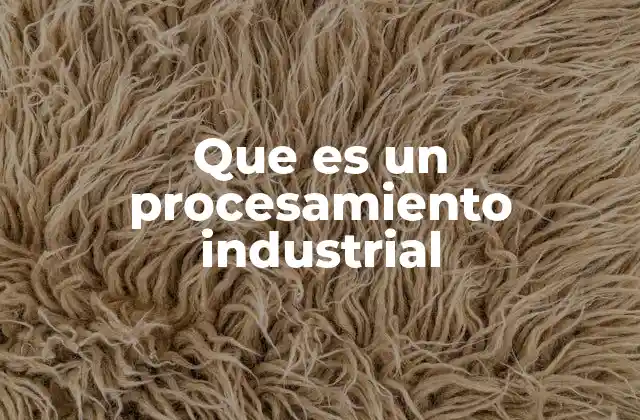 Que es un Procesamiento Industrial