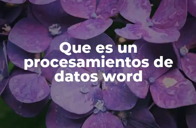 Que es un Procesamientos de Datos Word