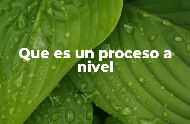 Que es un Proceso a Nivel