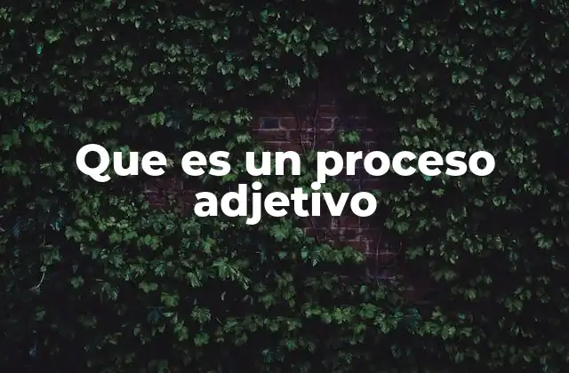 Que es un Proceso Adjetivo