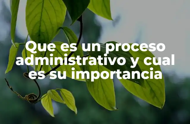 Que es un Proceso Administrativo y Cual es Su Importancia