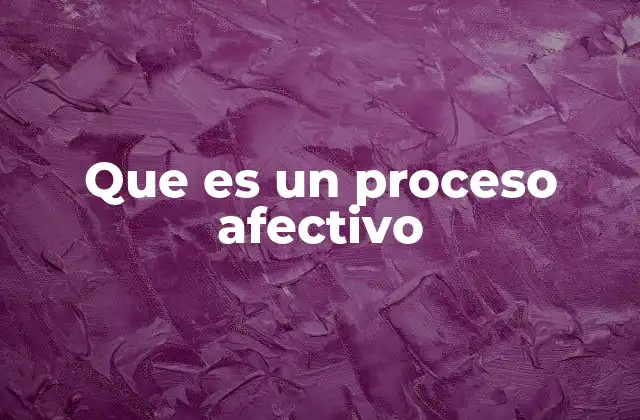 Que es un Proceso Afectivo 2 La importancia de los mecanismos emocionales en el ser humano